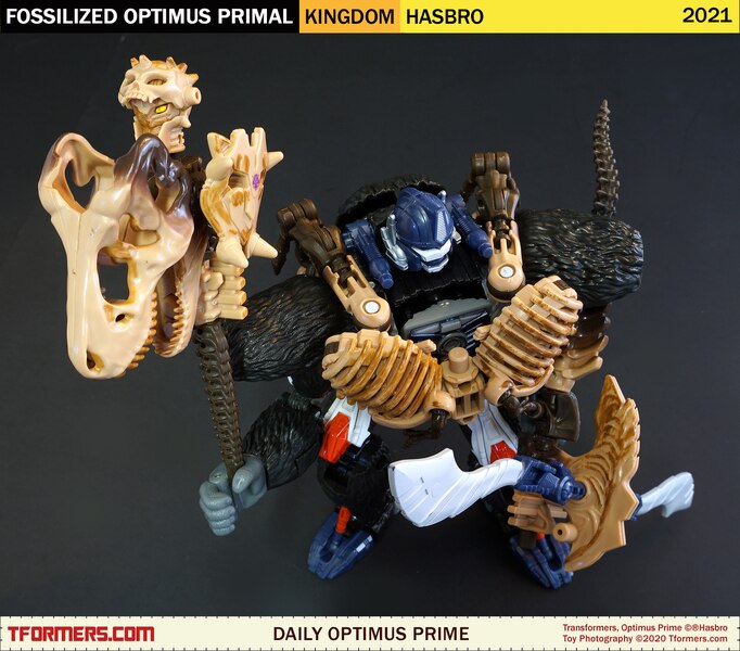 Daily Prime   Transformers Kingdom Fossilized Optimus Primal  (4 of 9)